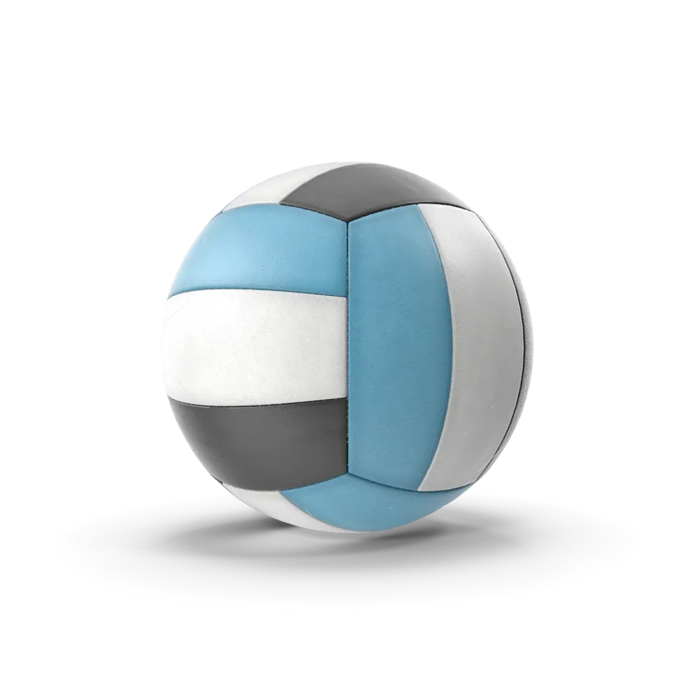 Volleyball — illustrative photo