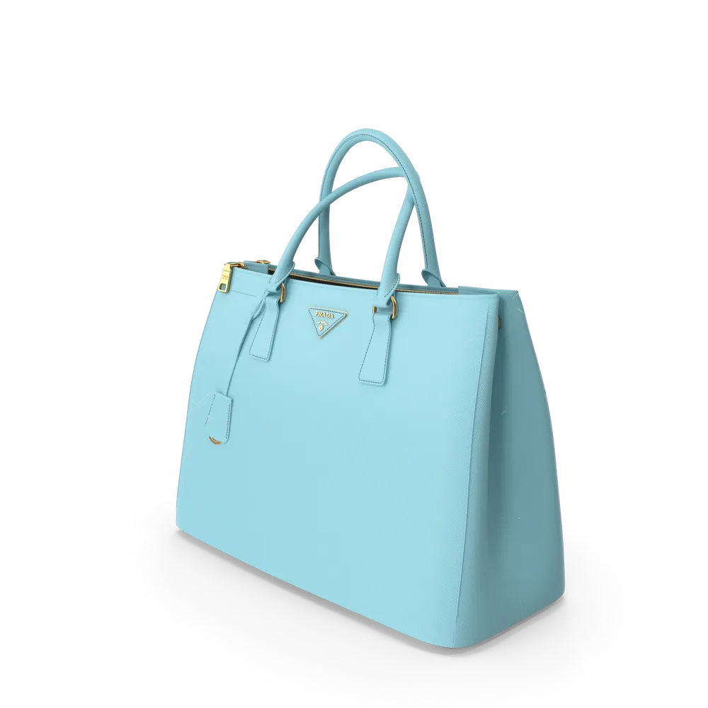 Classic carryall — illustrative photo