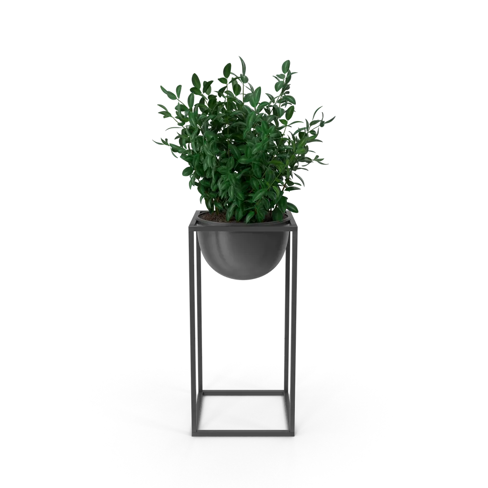 Botanical shelf ornament — illustrative photo