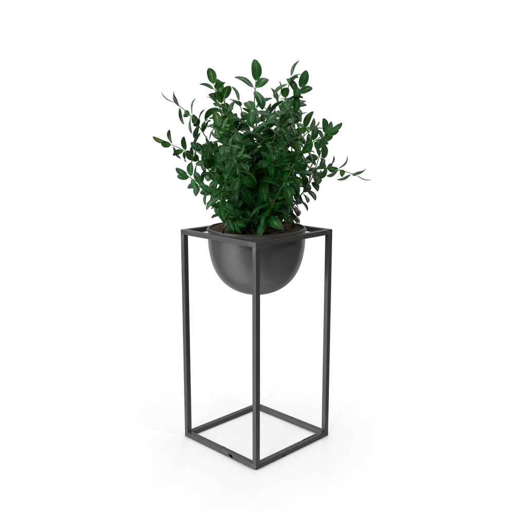 Botanical shelf ornament — illustrative photo