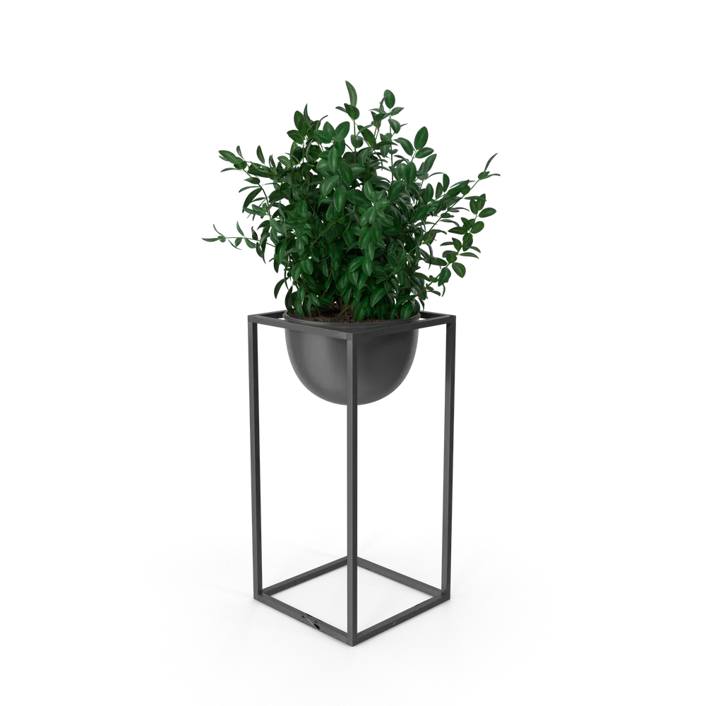 Botanical shelf ornament — illustrative photo