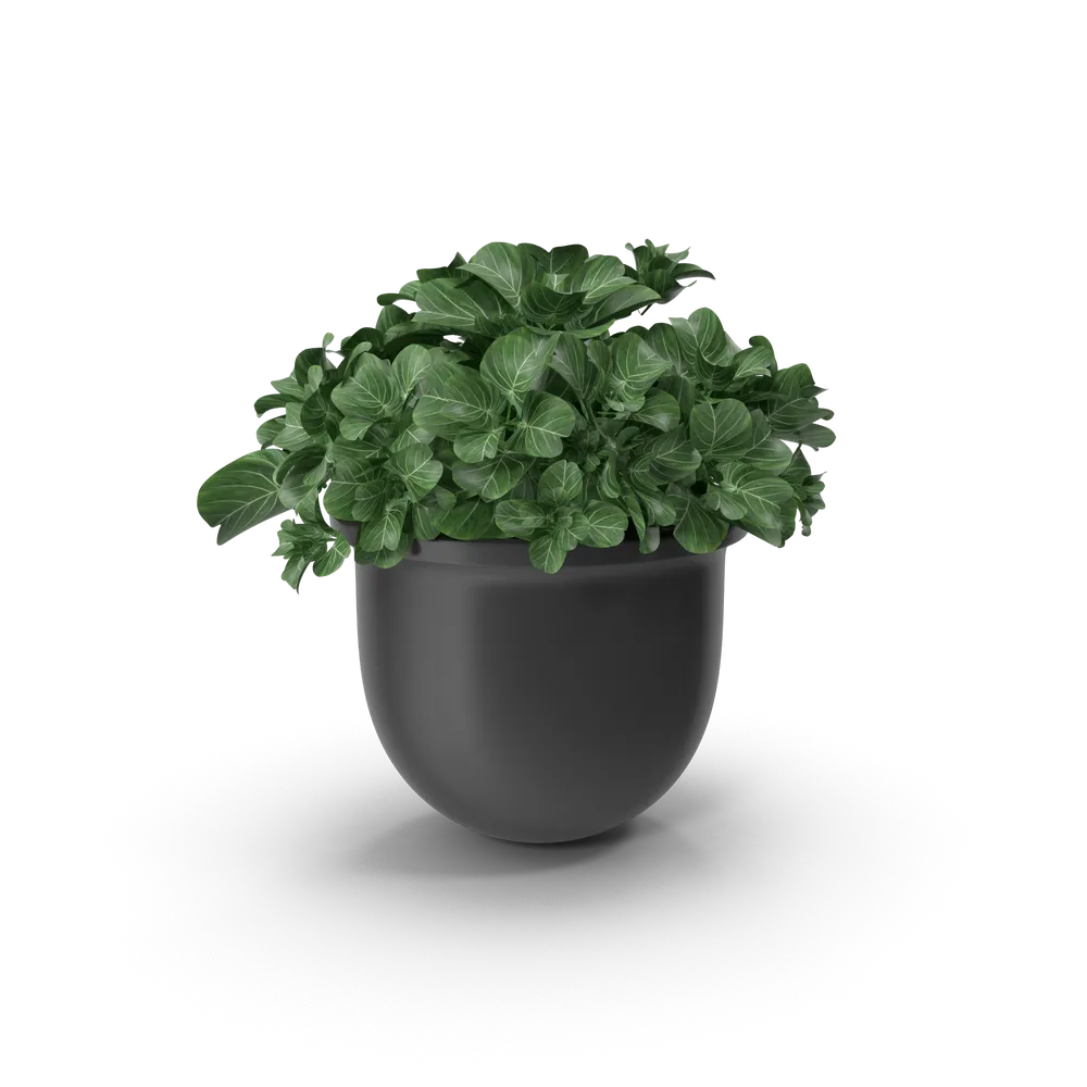 Indoor planter — illustrative photo