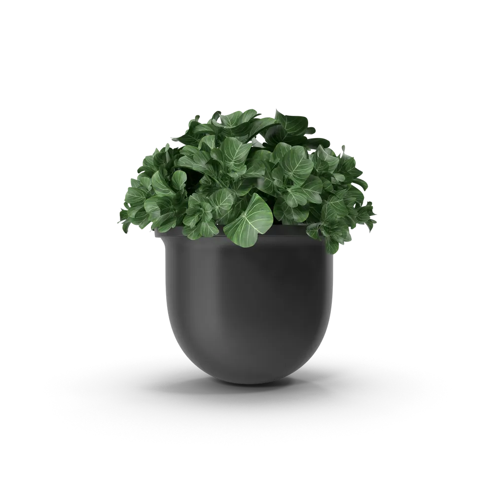 Indoor planter — illustrative photo